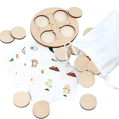 Montessori Life Cycle Science Kit