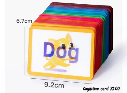 Montessori 3D Cognitive Card