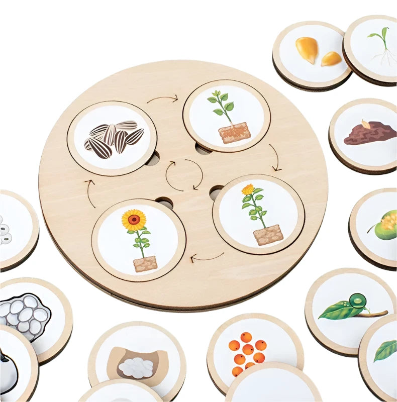 Montessori Life Cycle Science Kit